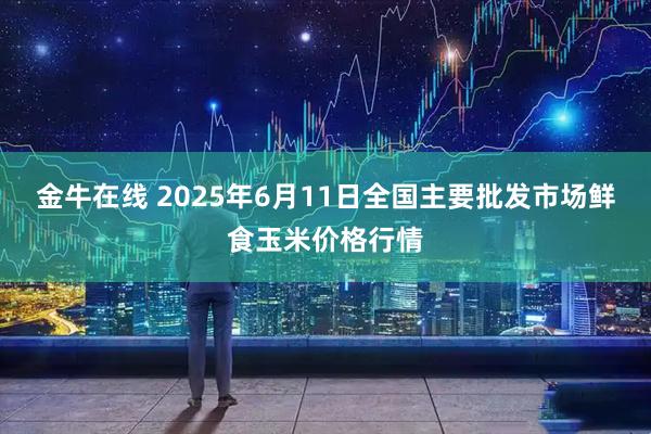 金牛在线 2025年6月11日全国主要批发市场鲜食玉米价格行情