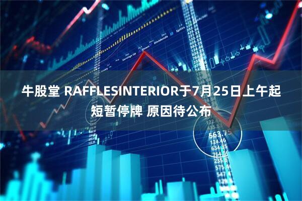 牛股堂 RAFFLESINTERIOR于7月25日上午起短暂停牌 原因待公布