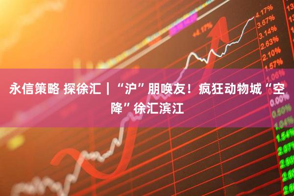 永信策略 探徐汇｜“沪”朋唤友！疯狂动物城“空降”徐汇滨江
