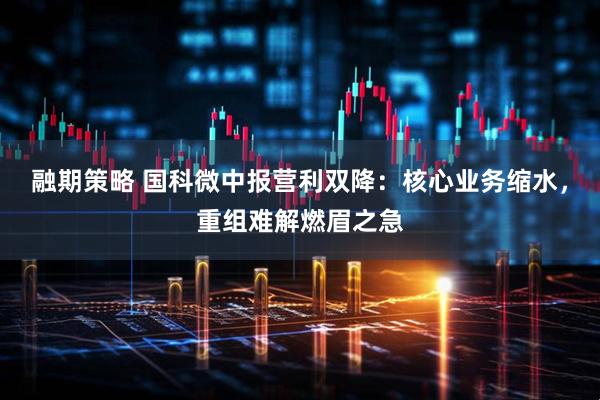 融期策略 国科微中报营利双降：核心业务缩水，重组难解燃眉之急