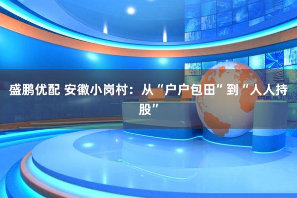 盛鹏优配 安徽小岗村：从“户户包田”到“人人持股”